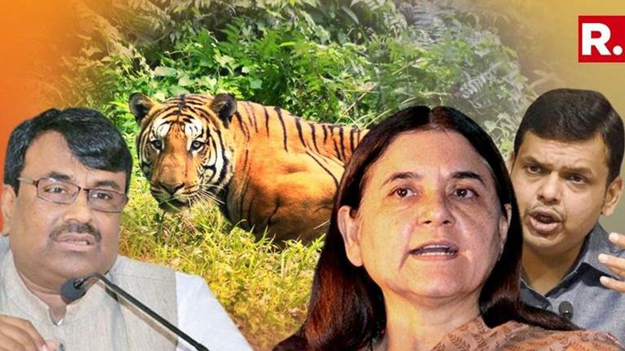 Maharashtra government will conduct an 'in-dept' probe into killing of tigress Avni