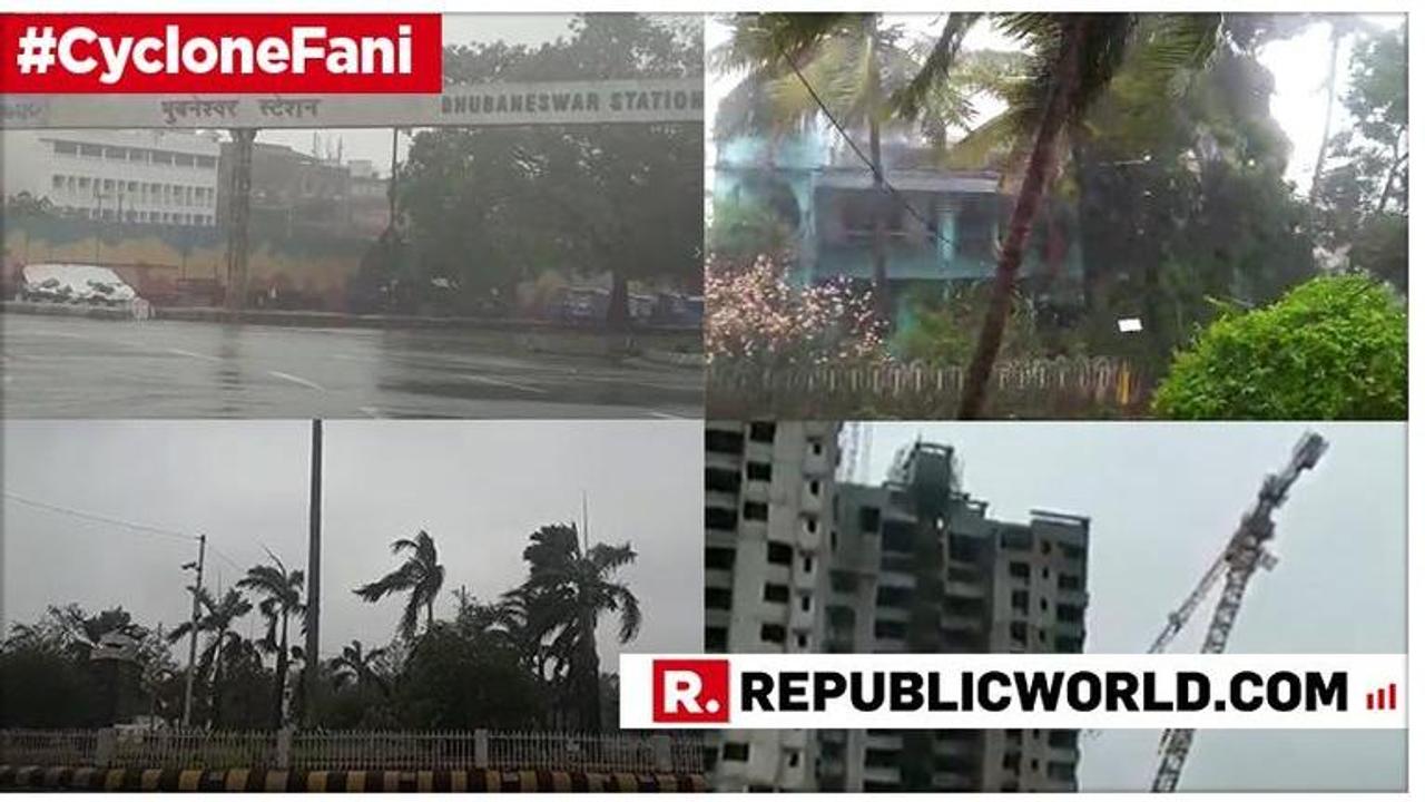 Bhubaneswar loses over one million trees in Cyclone Fani