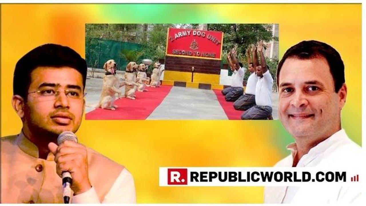 BJP slams Rahul Gandhi over insulting forces on International Yoga Day, says 'he has not learnt a lesson'