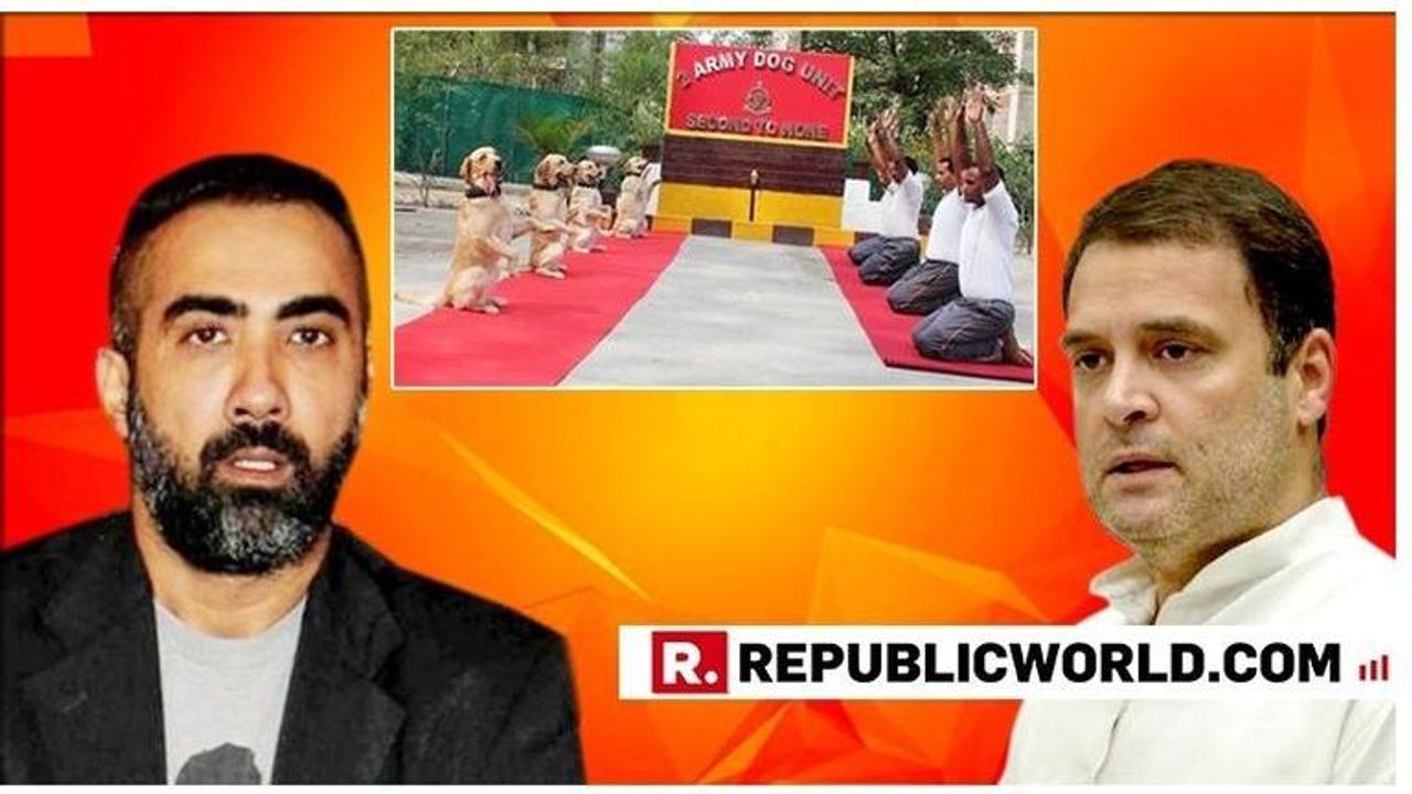 'New India will actually be when you & your family quit politics': Ranvir Shorey fumes at Rahul Gandhi after Congress President tweeted pictures mocking Army Dog Unit on Yoga Day