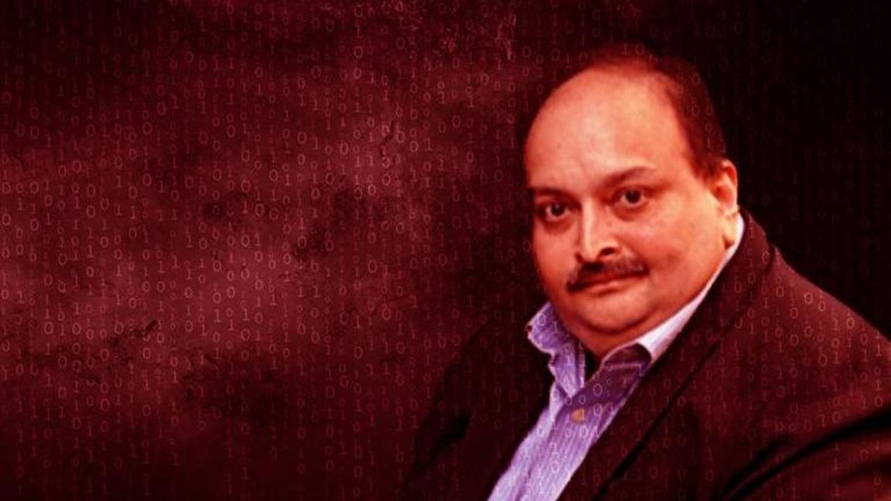 Bombay HC asks doctors to submit report regarding economic fugitive Mehul Choksi's health condition