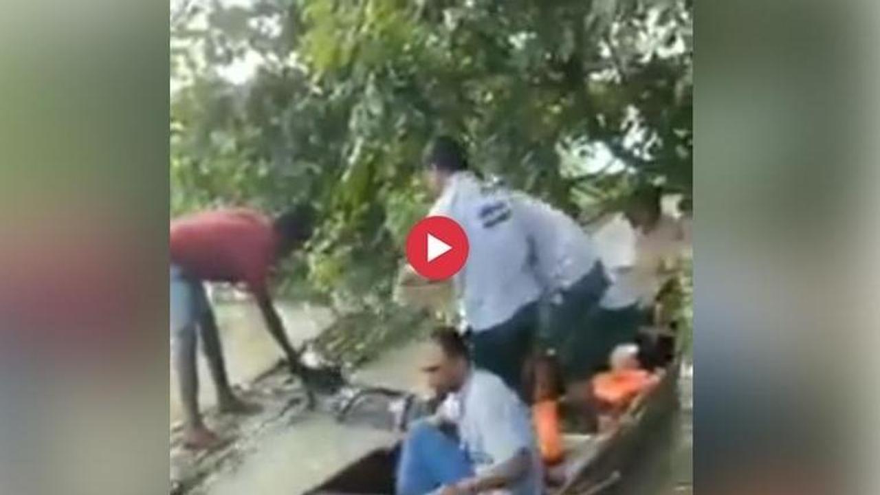 WATCH: Heroes in Dinghys rescue scared Rhino calf from Assam floods-hit Kaziranga national park