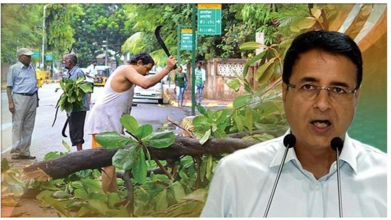 Congress attacks BJP govt for allowing felling of 1 crore trees in 5 years