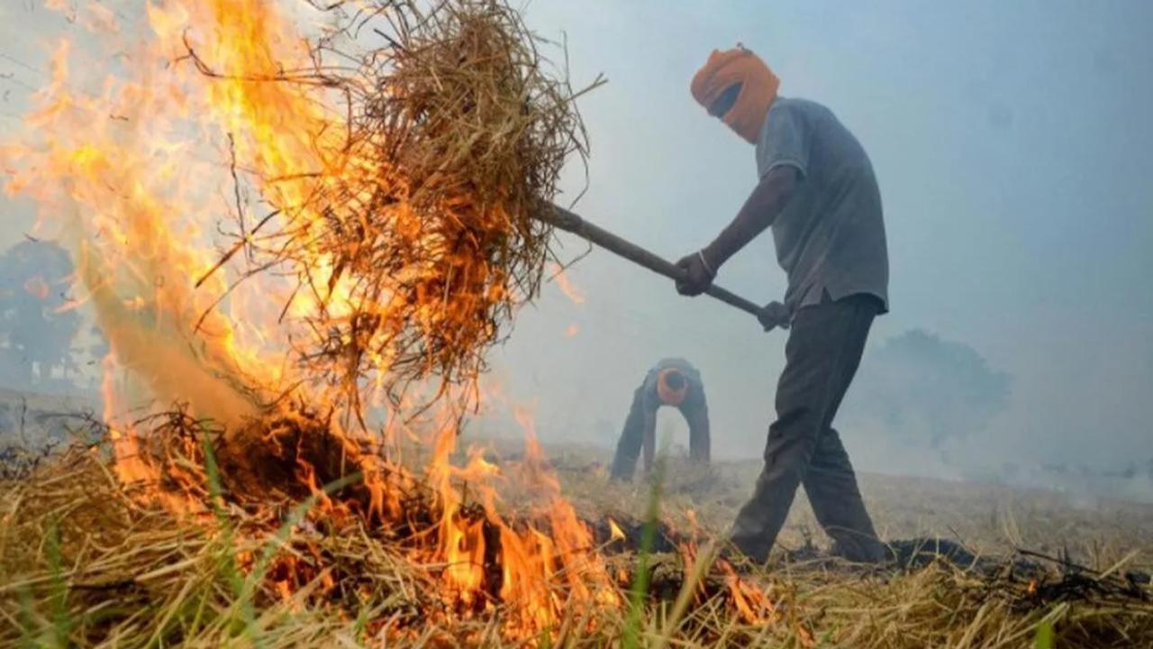 Not right to blame only farmers for air pollution, says Punjab Governor Kataria