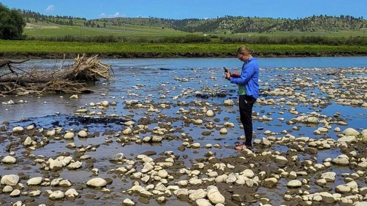 Yellowstone River