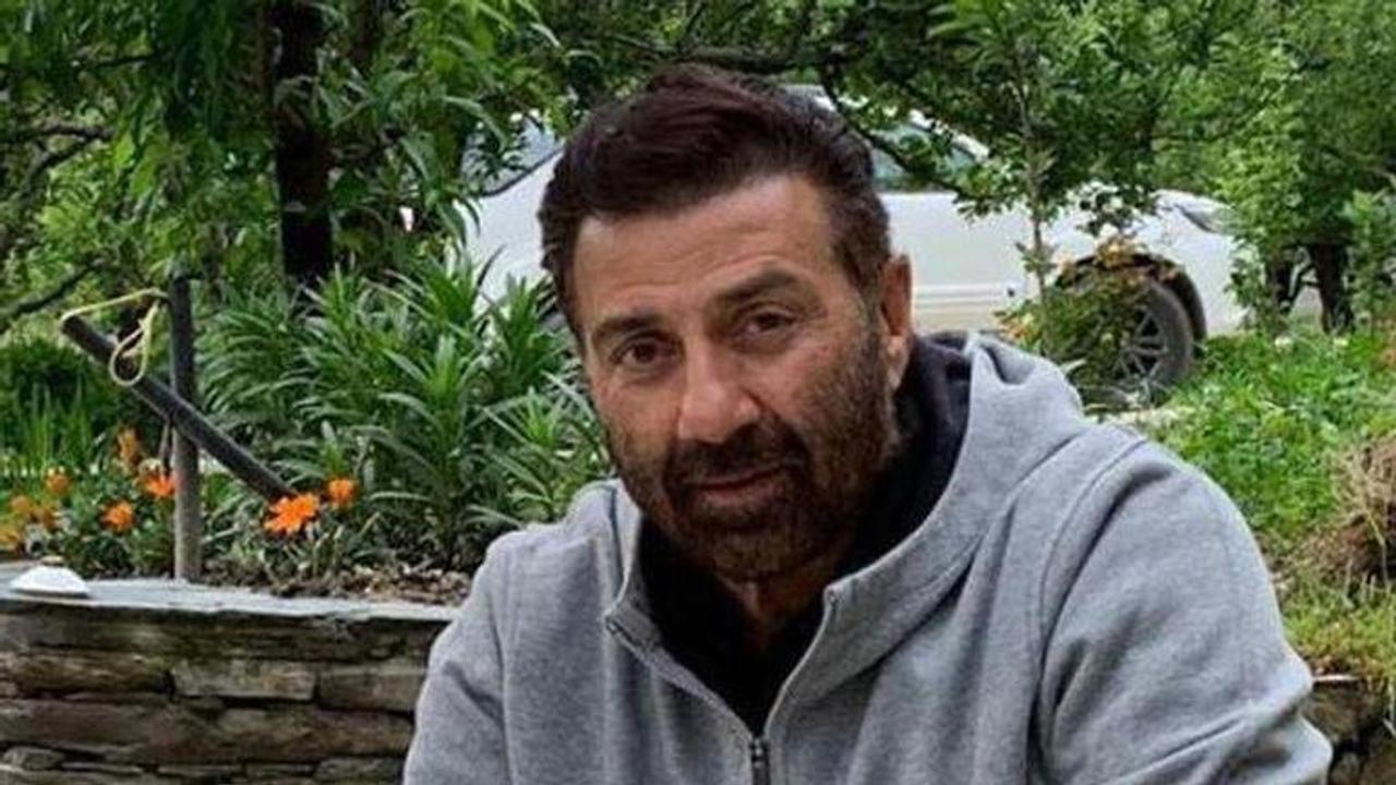 sunny deol