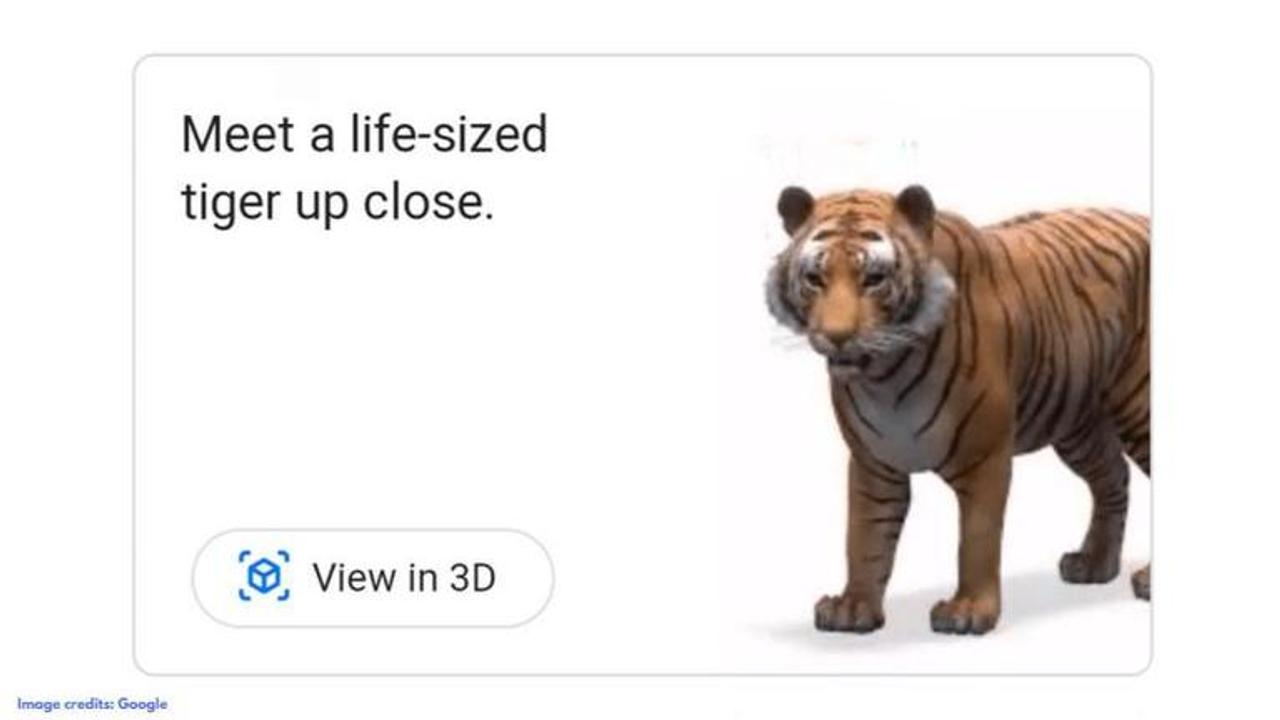 Google 3D animals list