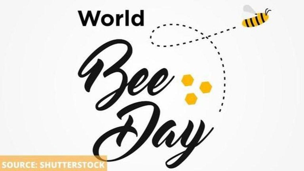 World bee day images