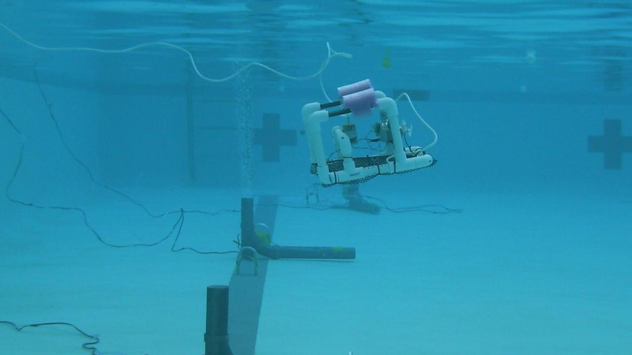 Marine Robot