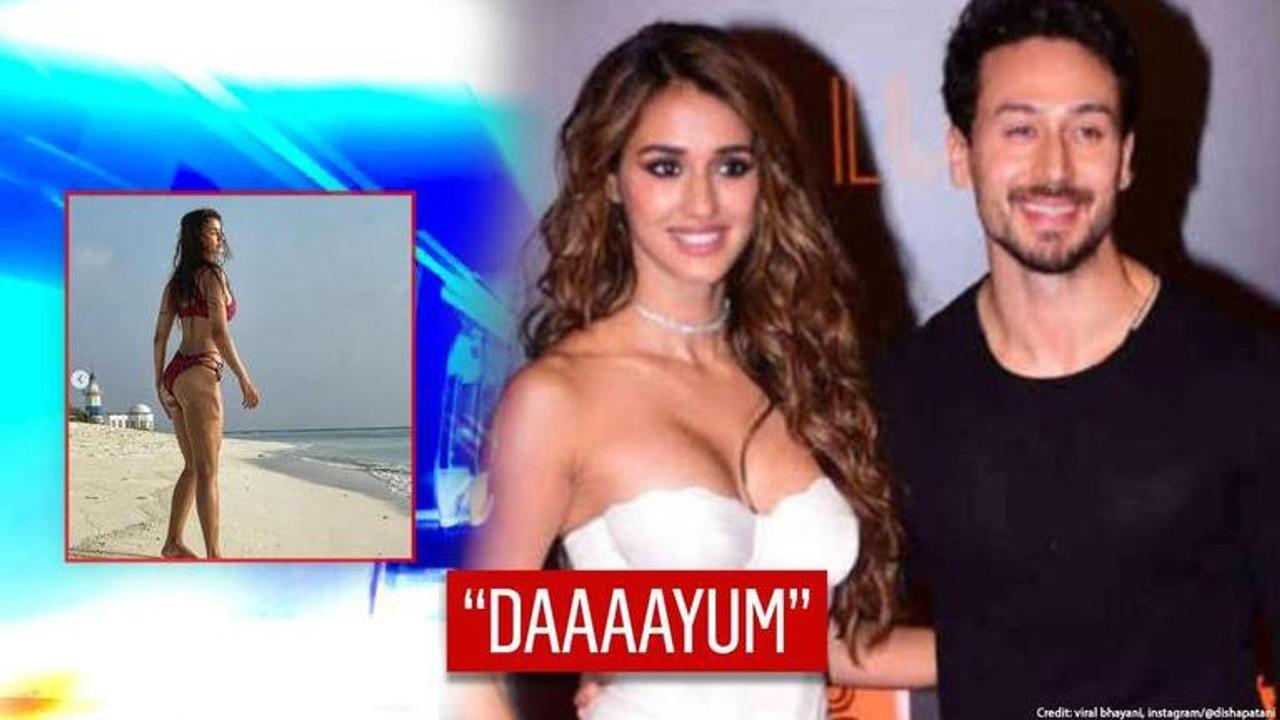 Disha Patani makes waves with pic from vacation with Tiger; Krishna Shroff goes 'Daaaayum'