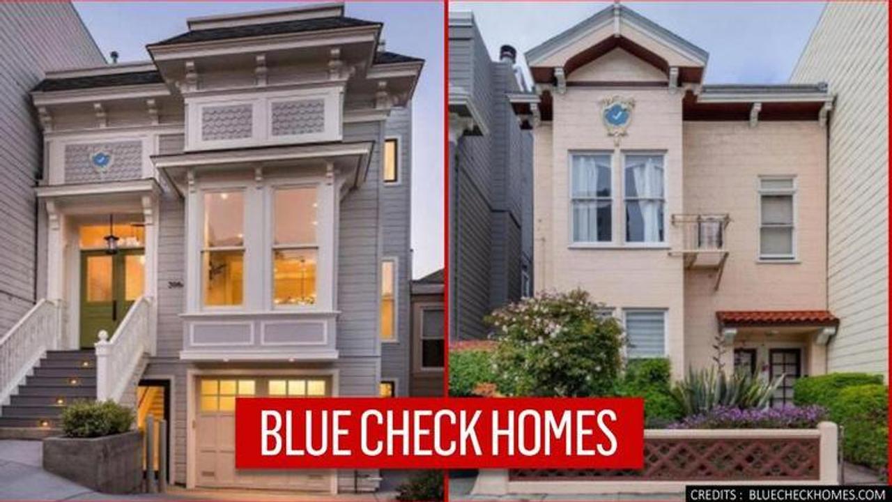 California artist offers blue ticks for homes of public figures