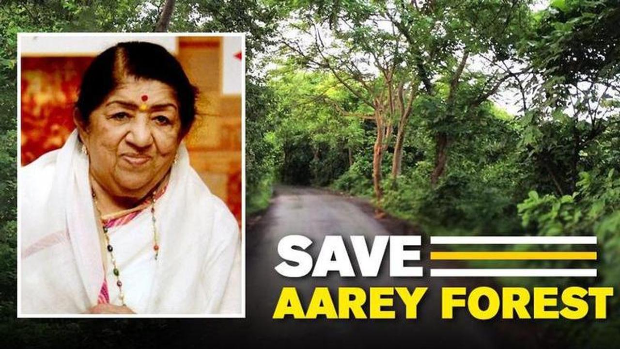 Aarey