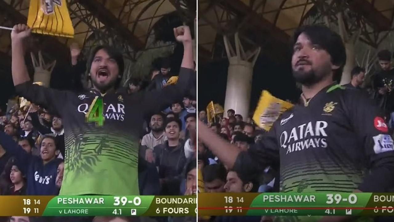 Pakistani fan in PSL