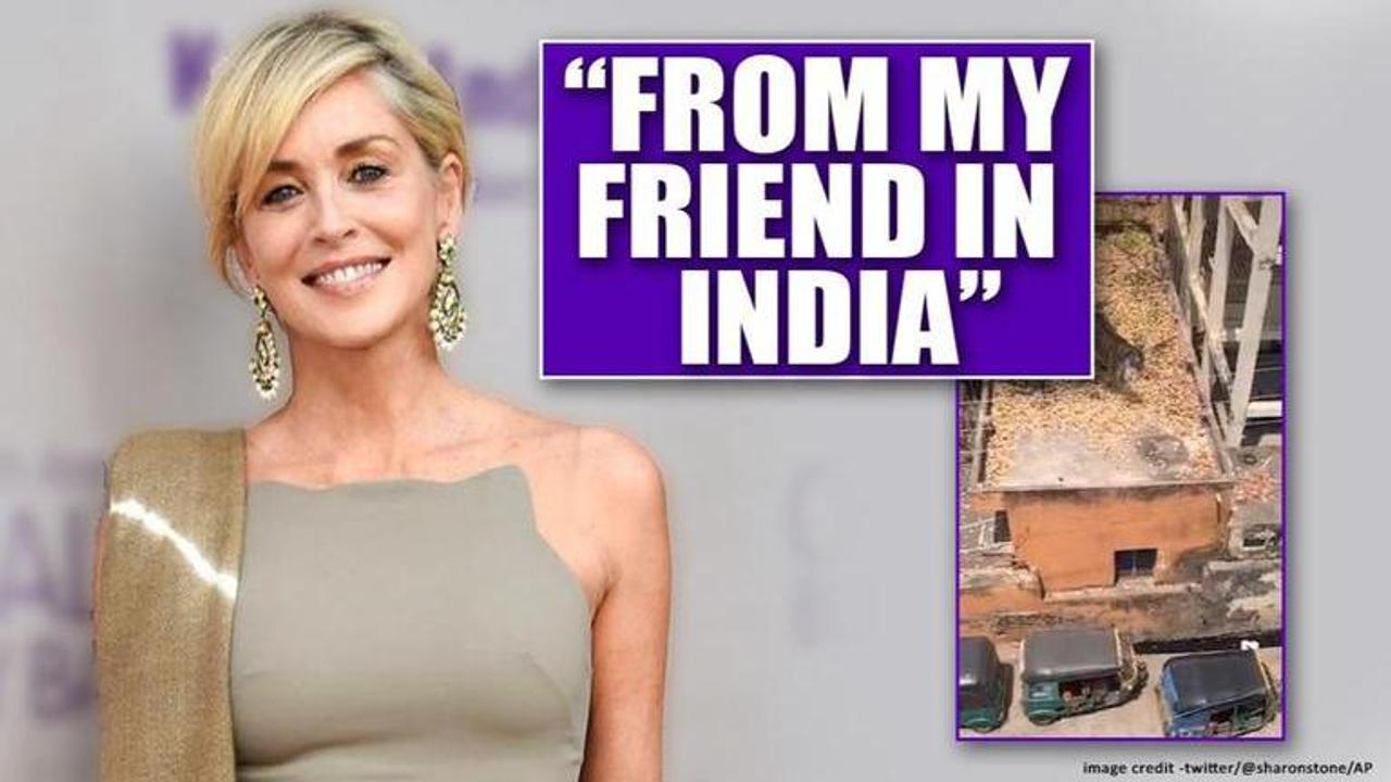 Hollywood star Sharon Stone awed by video of 'tiger' on rooftop from India, netizens react