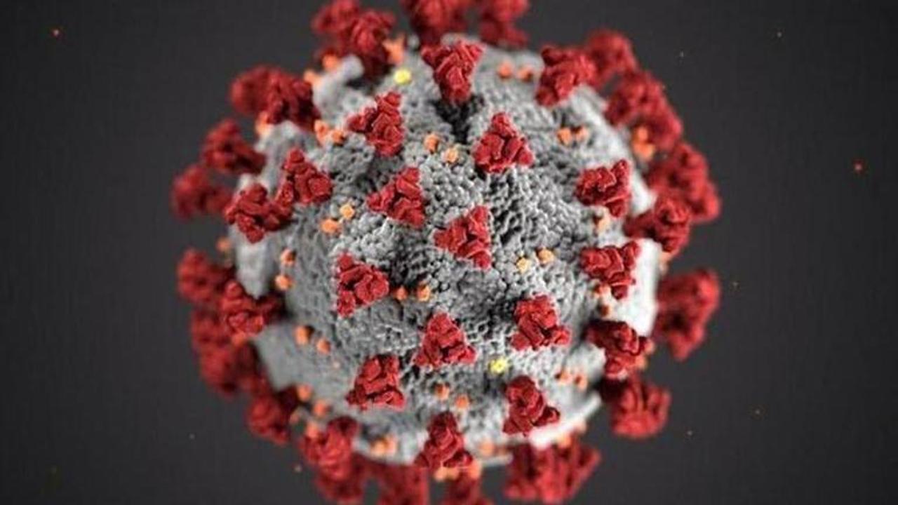 German institute predicts coronavirus duration as Trump predicts it to end in July