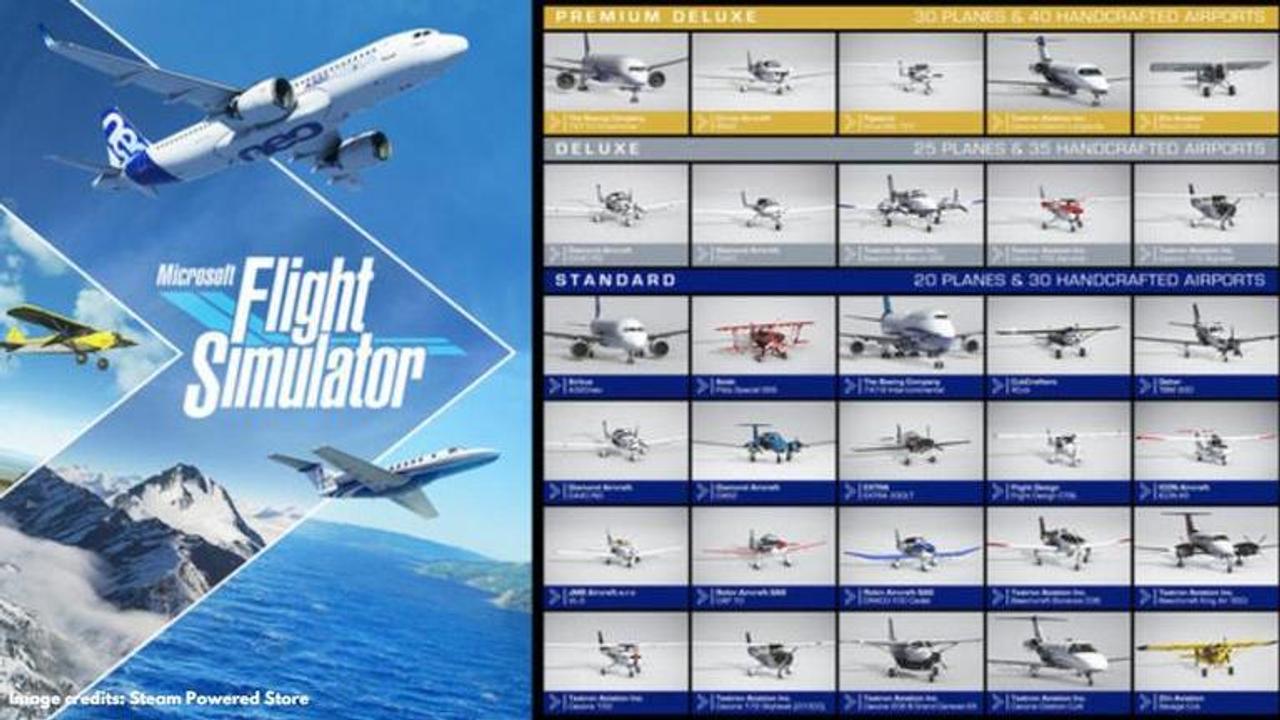 Microsoft Flight Simulator