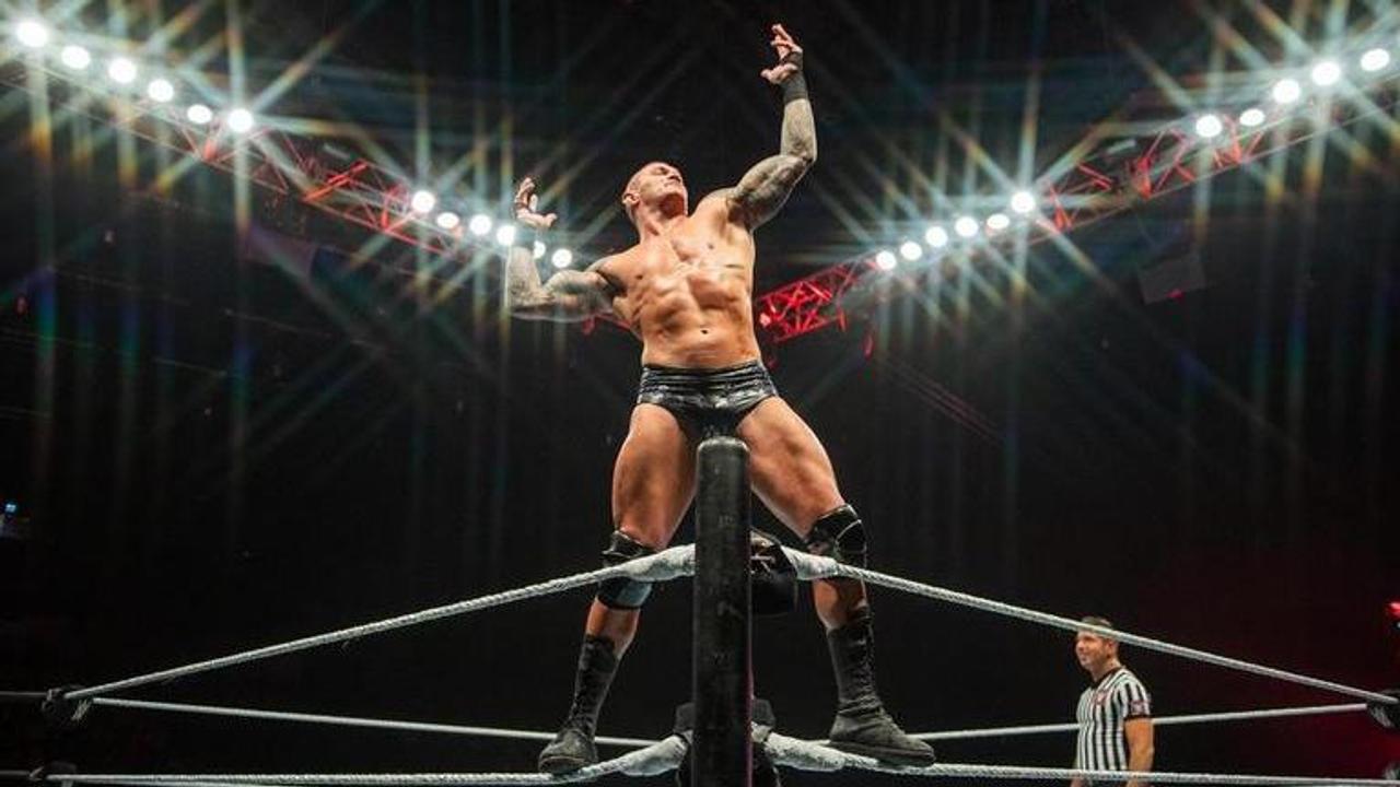 Randy Orton, WWE, Money In The Bank