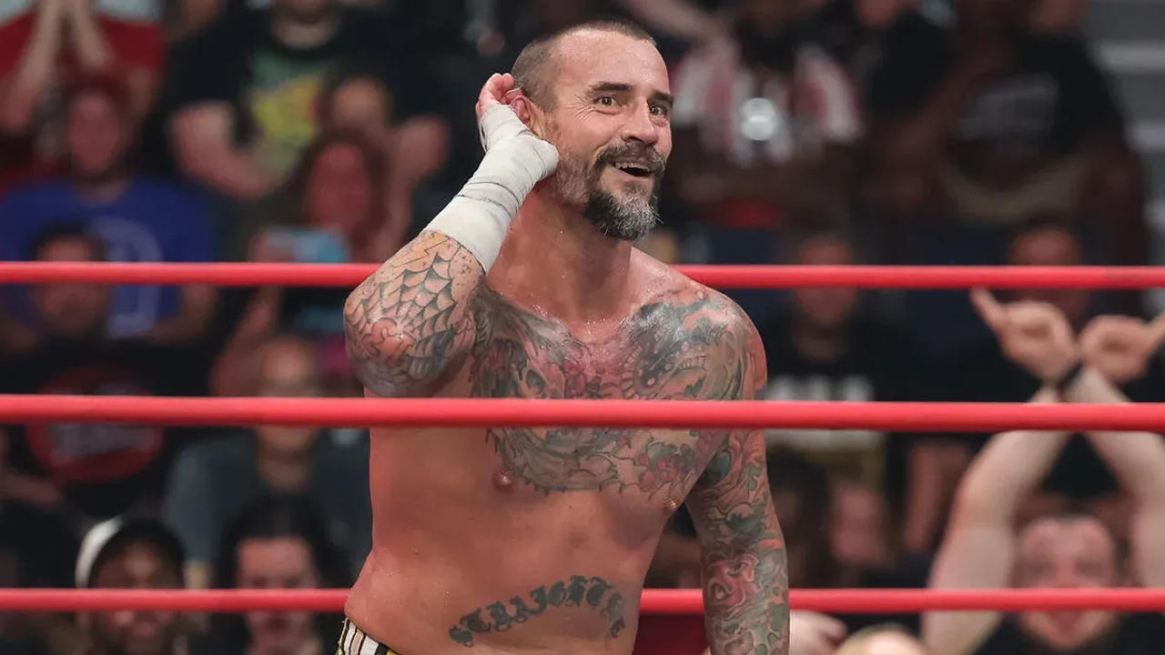 CM Punk in action