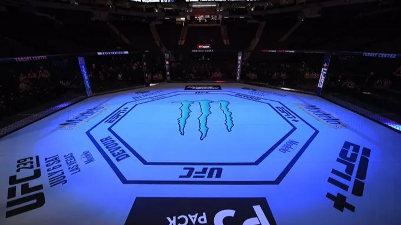 UFC Octagon