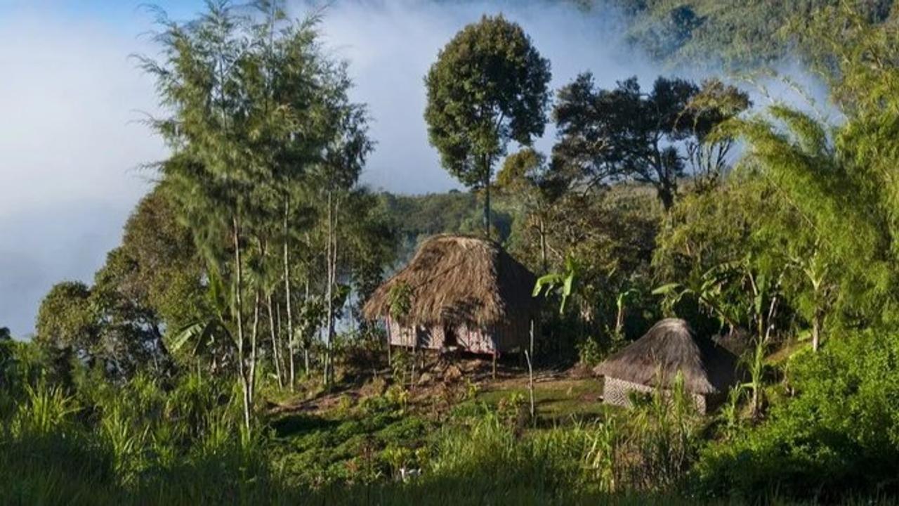 Papua New Guinea Tribal Violence