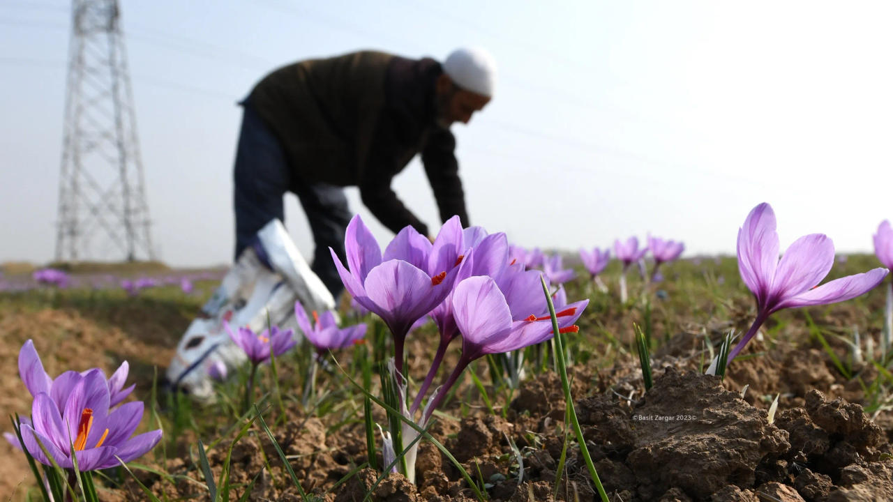 farmers face land encroachment