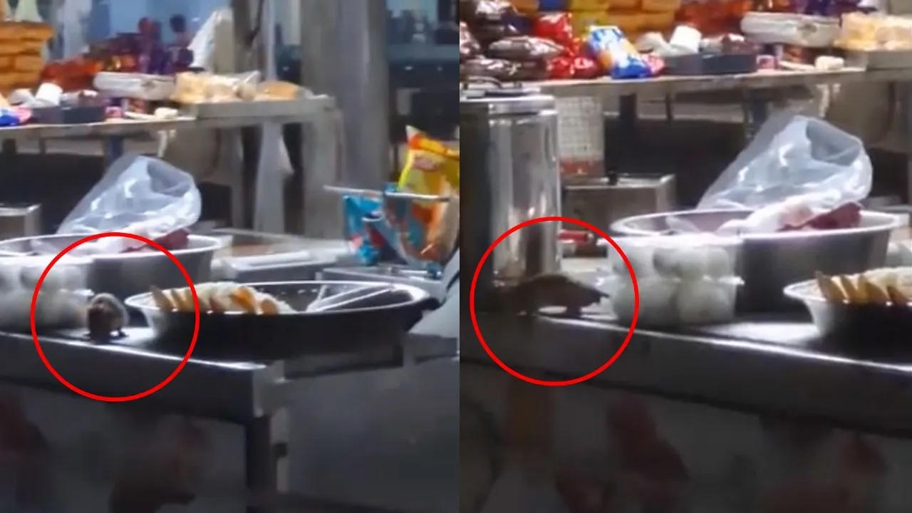 Viral video screengrab: Rats At IRCTC Stall