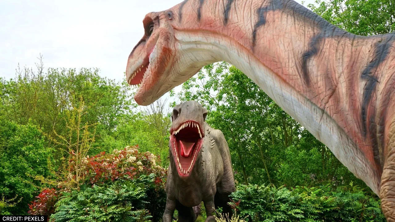 Dinosaur park in Delhi's Sarai Kale Khan 