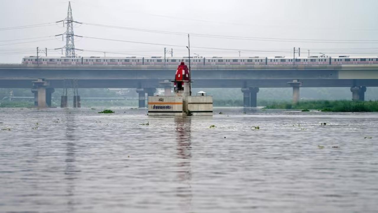 Yamuna river