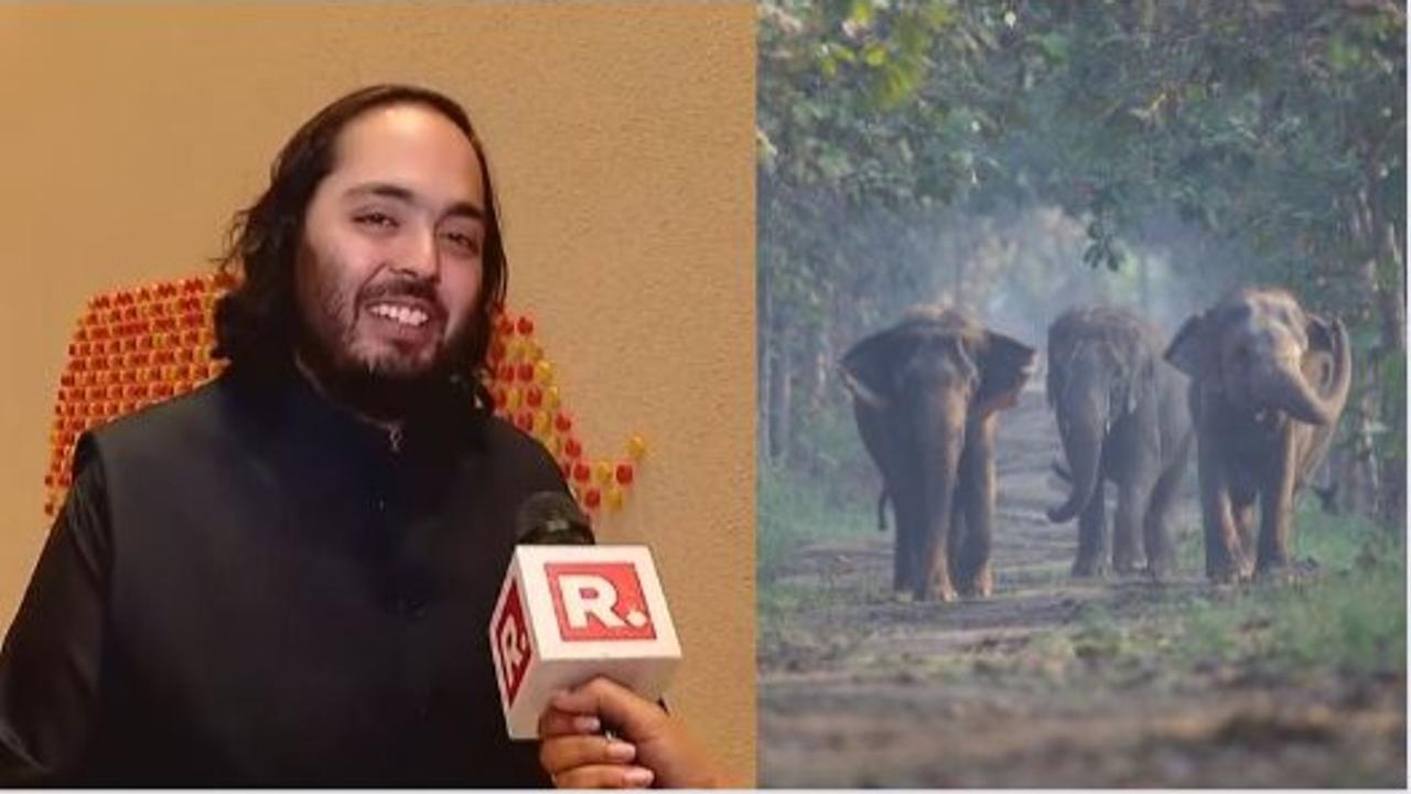 Anant Ambani Speaks on Reliance's Initiative 'Vantara' 