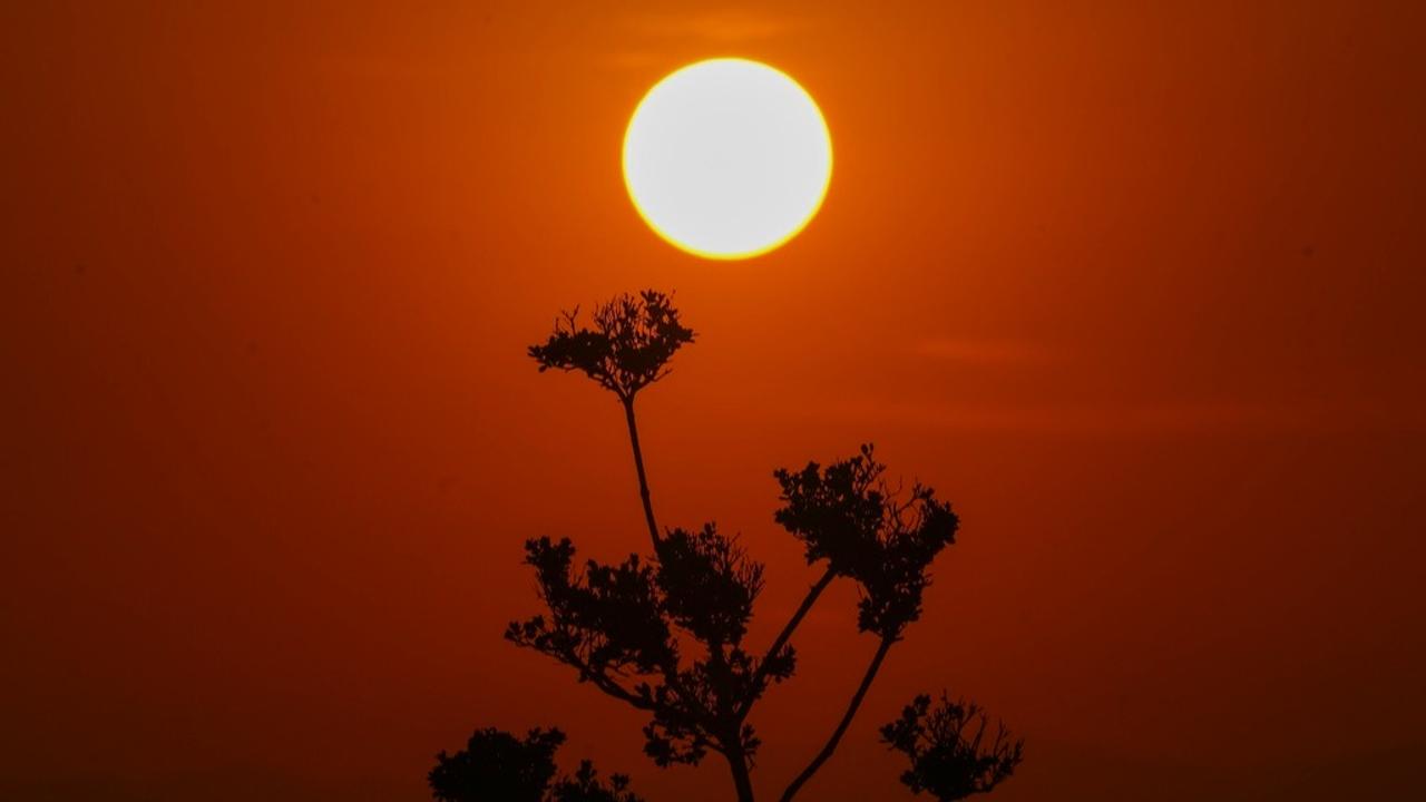 Extreme heat in Mexico, Central America and parts of the US South has left millions of people in sweltering temperatures.