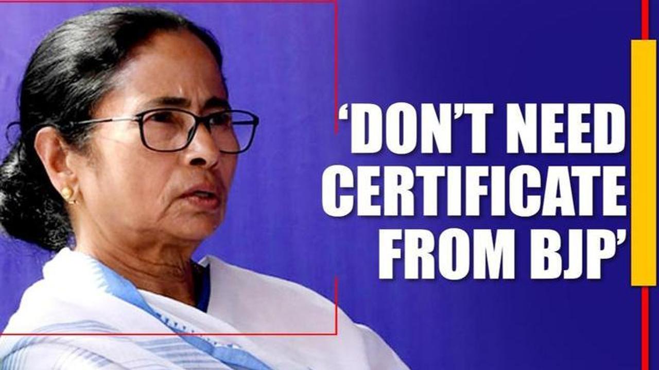 Mamata