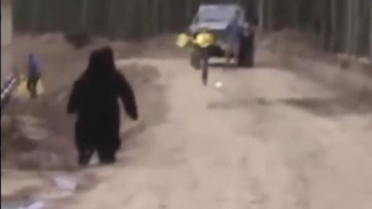 Laughter Overdose: Funny Bear Prank Terrifies Building Site