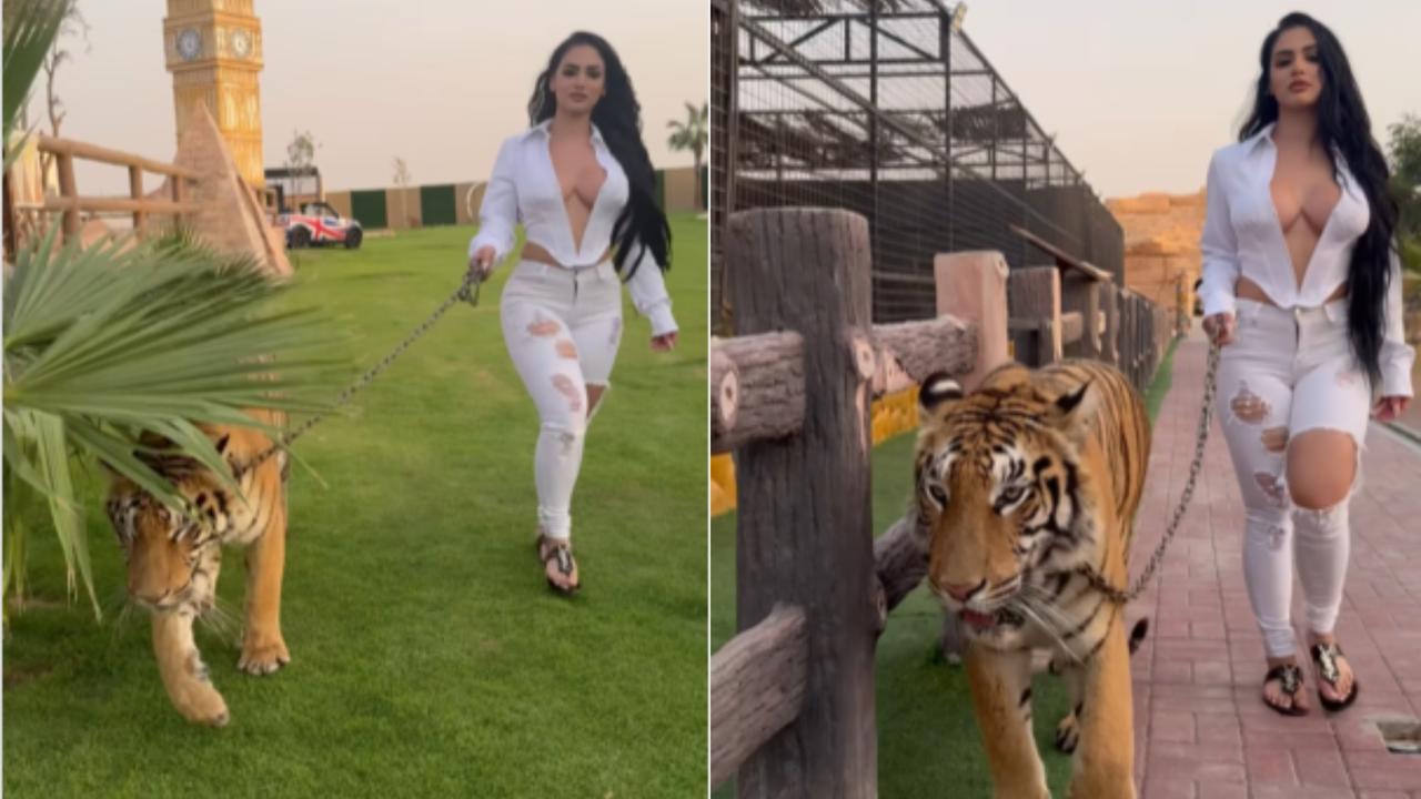 Influencer walking with 'Pet Tiger', Video Viral