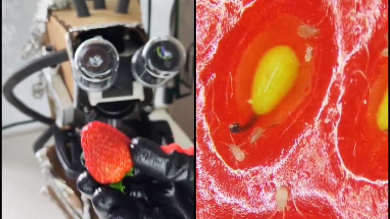 Viral Video Shows Surprising Microscopic View Of Strawberries