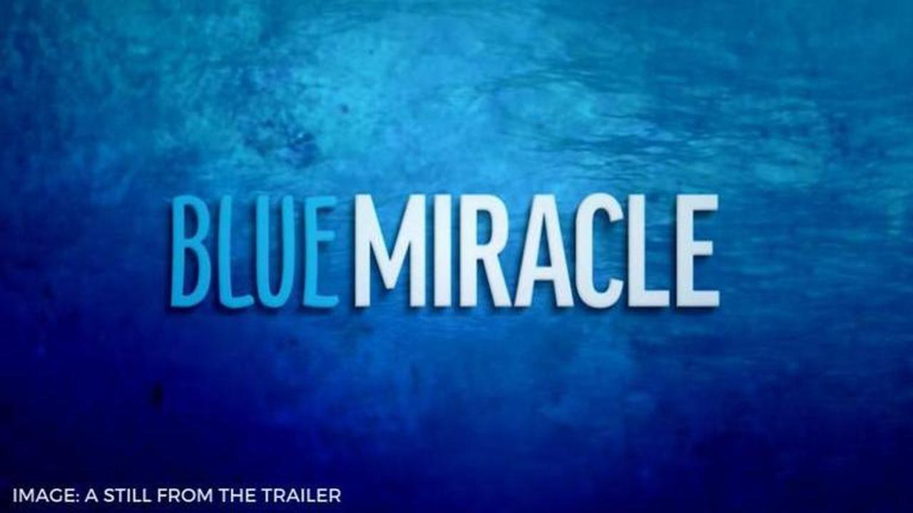 blue miracle true story