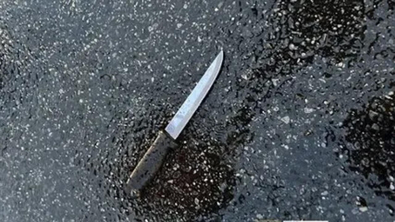 Queens knife rampage