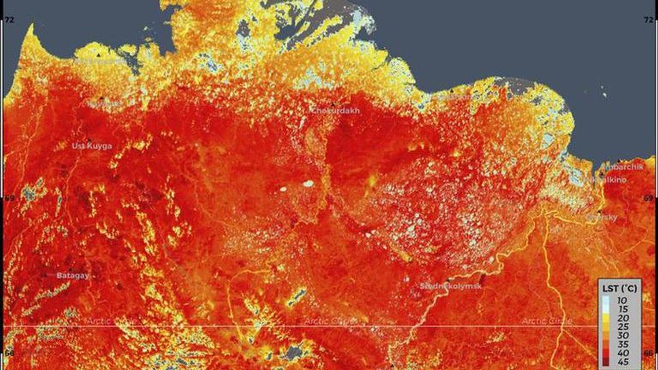 Fivefold growth of forest fires in Siberia reported