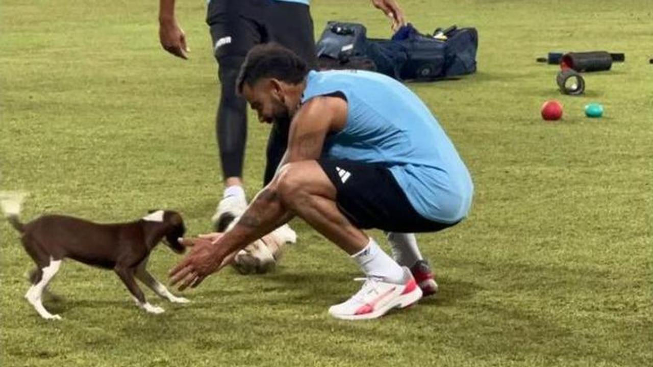 Virat Kohli plays with puppy ahead of IND vs PAK Asia Cup clash, video goes viral - WATCH