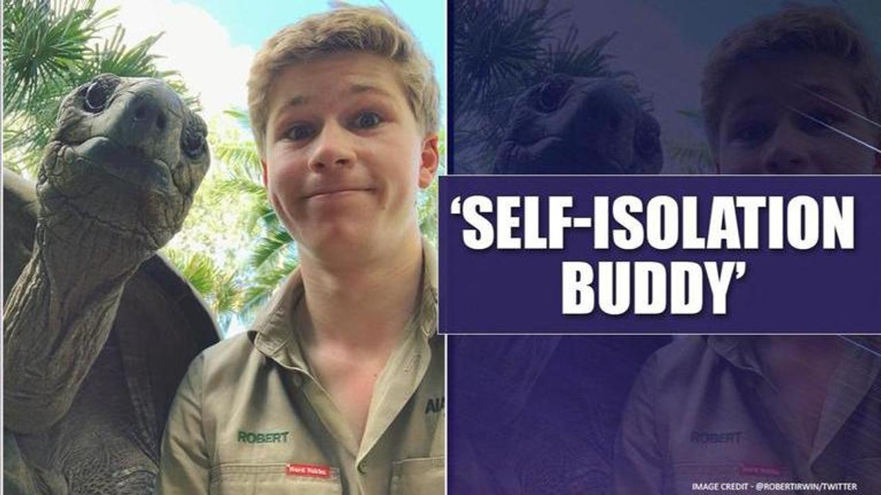 Robert Irwin posts selfie with tortoise amid coronavirus lockdown, netizens all hearts