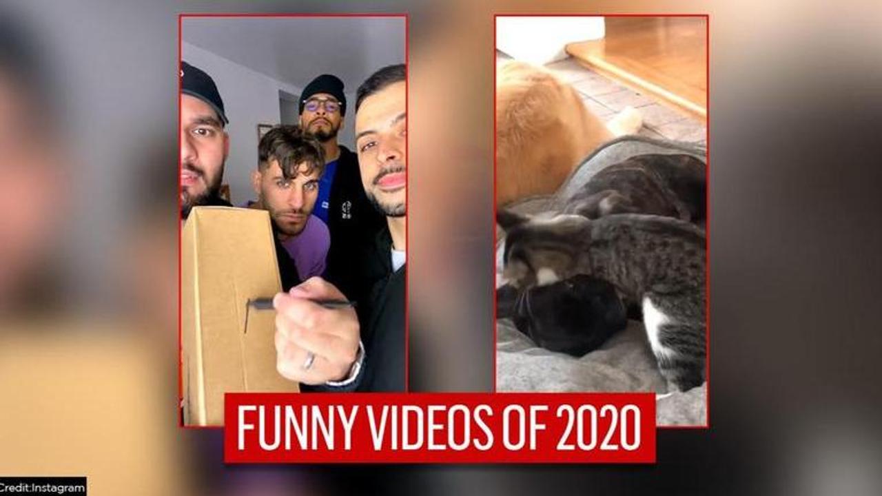 Funniest videos of 2020