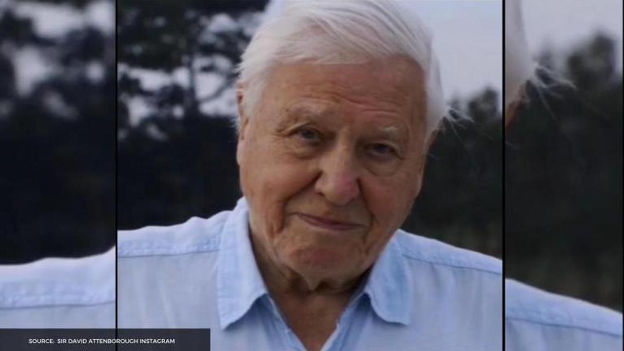 Sir David Attenborough