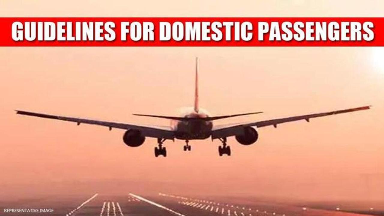 Domestic flight