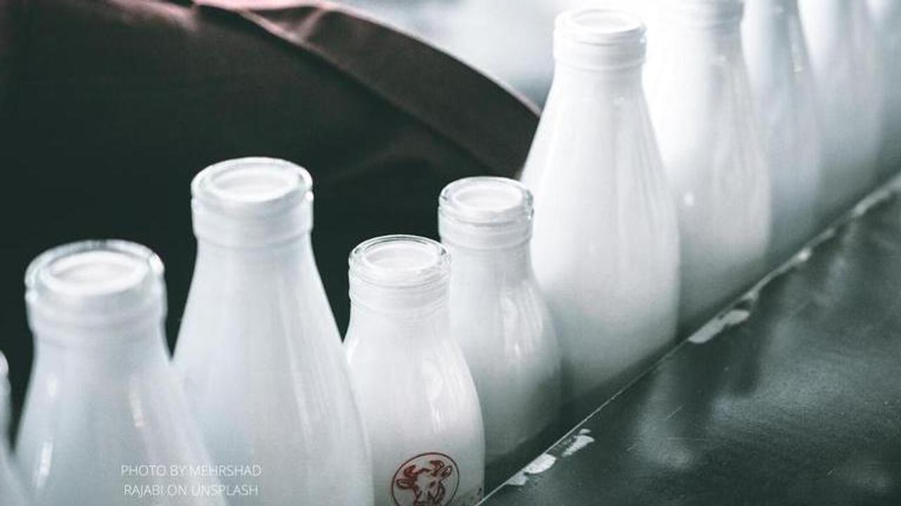 World milk day meaning