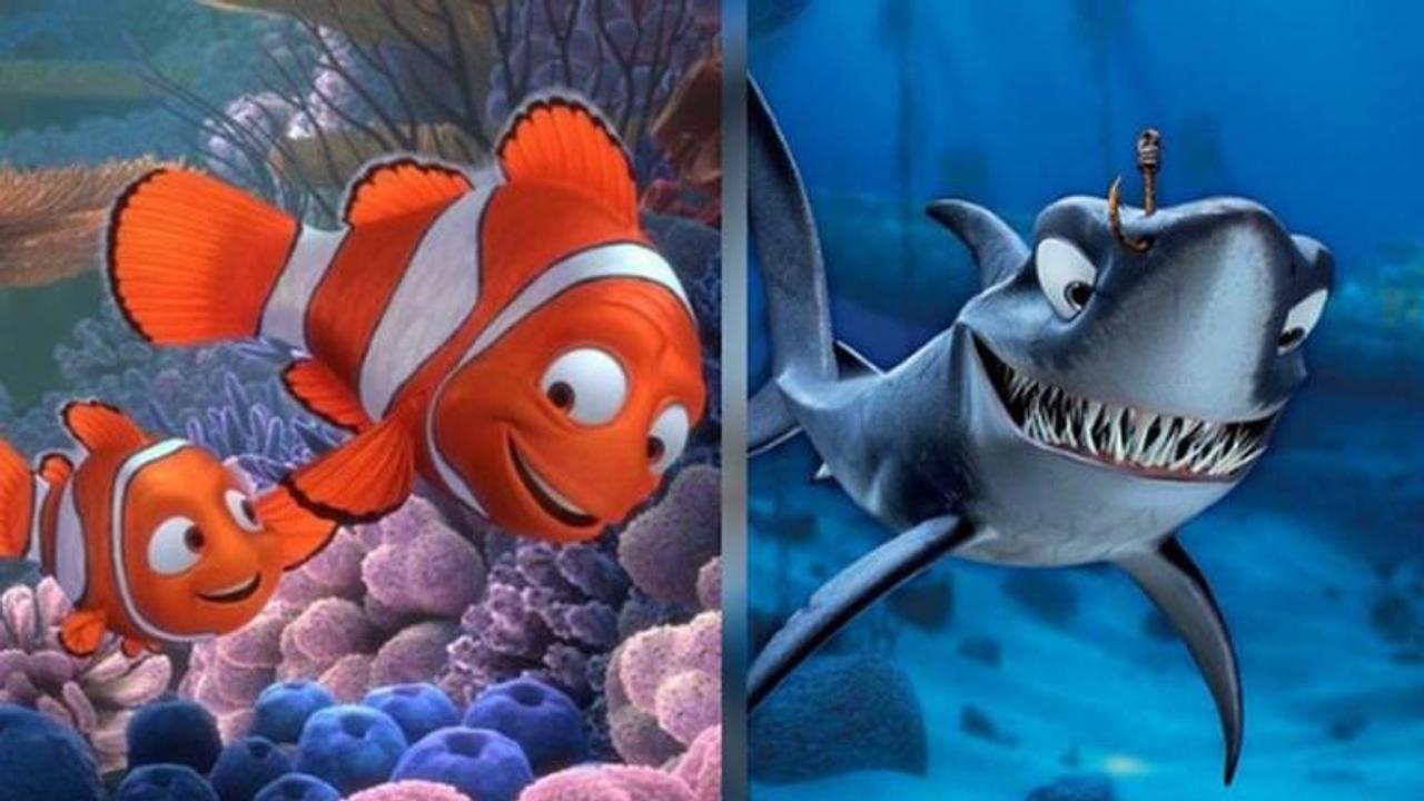 real story behind finding nemo