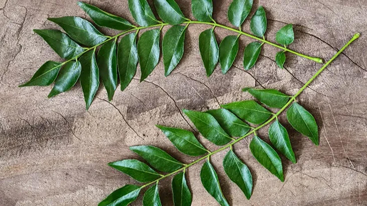 As per experts, consuming curry leaves can help reduce insulin sensitivity in the body and reduce blood glucose levels. It is suggested to chew fresh curry leaves for effective results. 