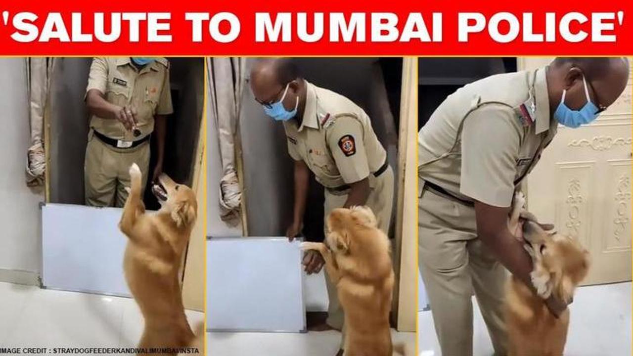 Video of dog accompanying cop amid COVID-19 surfaces, netizens laud their bond