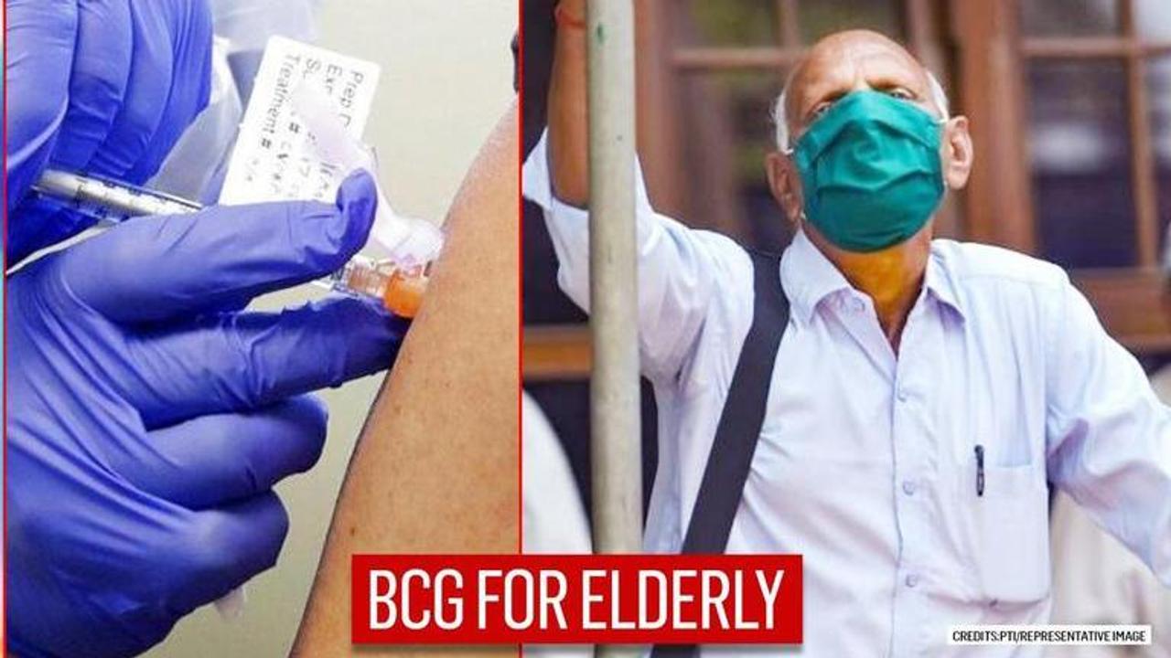 BCG vaccine may help elderly beat COVID-19 says a study conducted by ICMR