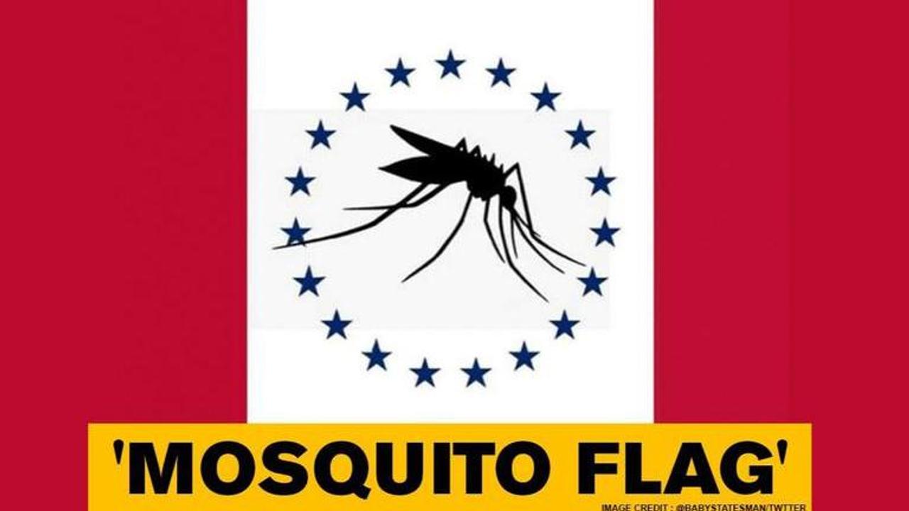 US: Man proposes Mosquito flag for Mississippi, says it was joke