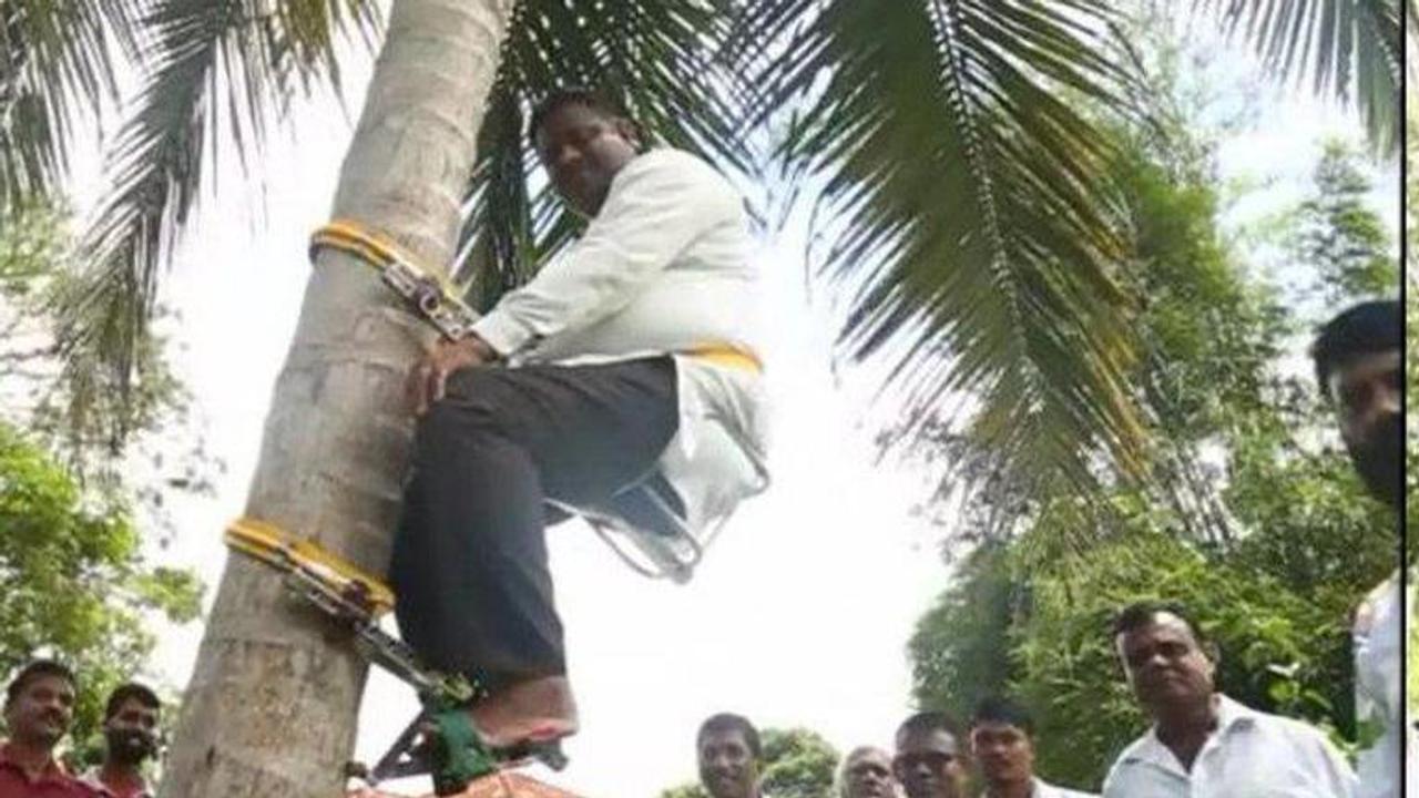 Sri Lankan minister holds press conference from halfway up a coconut tree