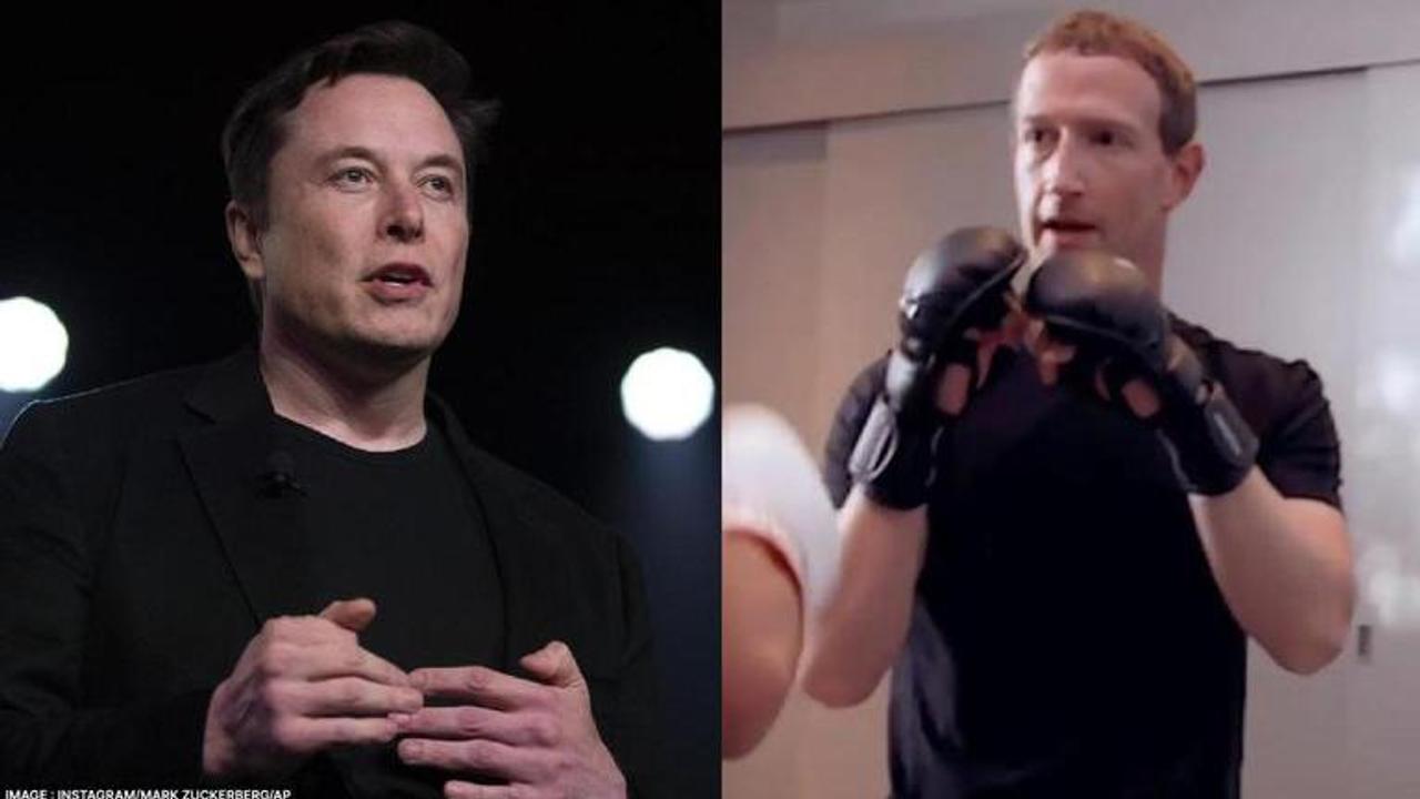 Zuckerberg vs Musk